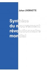 copy of Synthèse du...